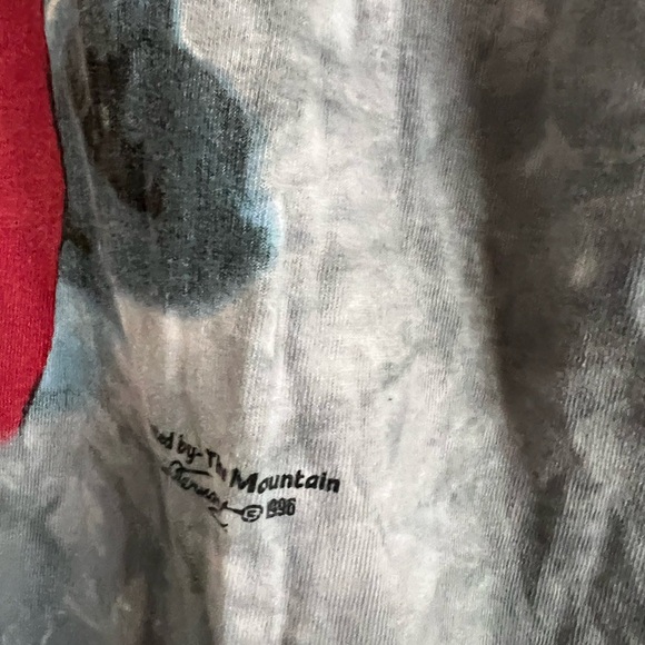 Vintage 90s The Mountain Native American T Shirt XL Blue Crewneck Craig Tennant - Picture 6 of 8